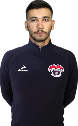 Сафин Булат Рустемович