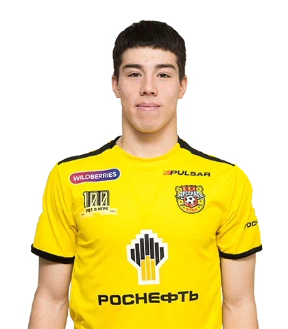 Гиголаев Давид Теймуразович