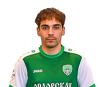 Борисов Георгий Станиславович