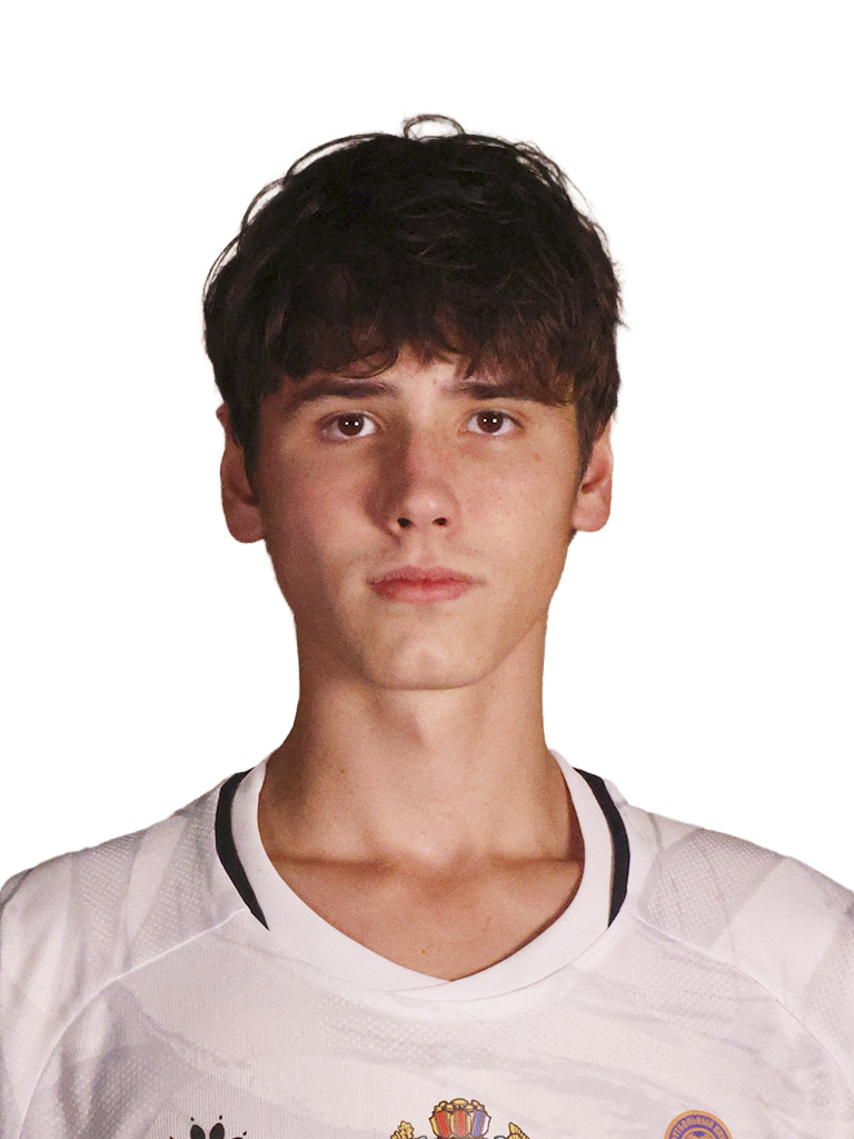 Дмитрук Матвей Александрович