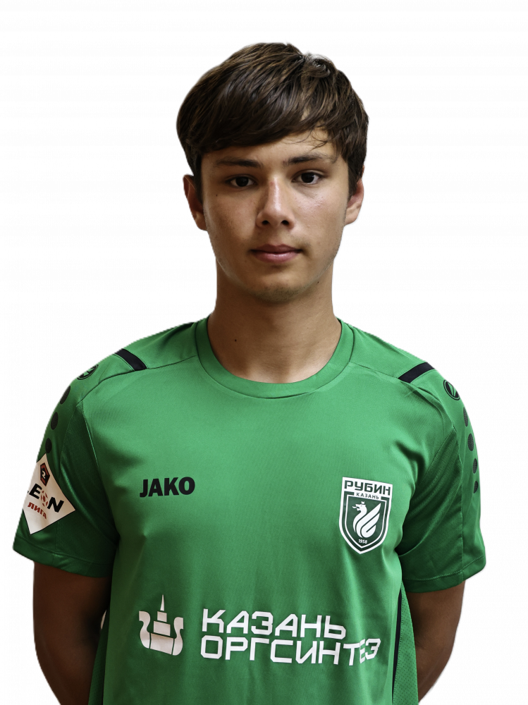 Галимуллин Эмиль Ильмирович